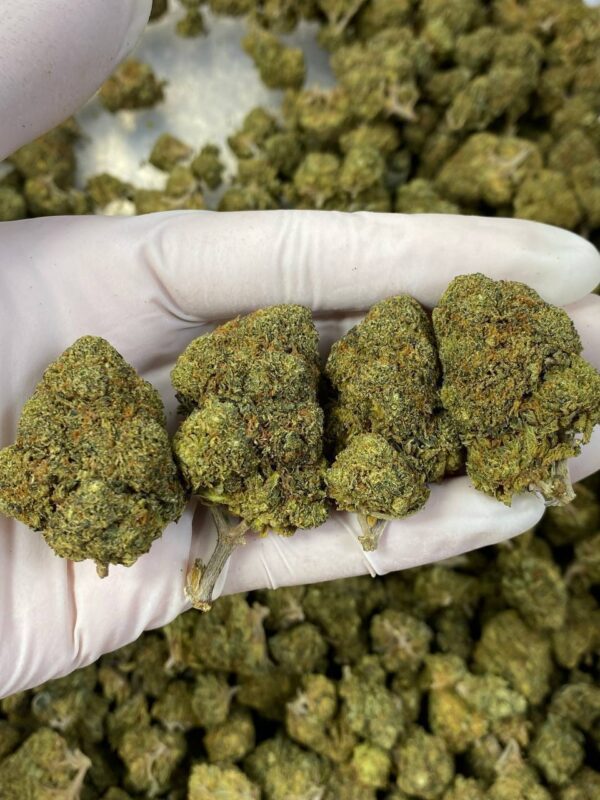 Buy Sour Space Candy Strain Online